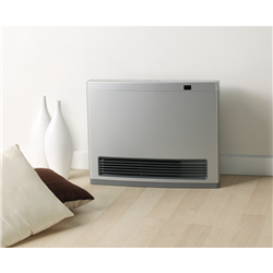Rinnai Avenger 25MJ NG P/Silver Heater Unflued