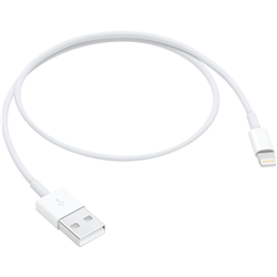 Apple Lightning To USB Cable 0.5m