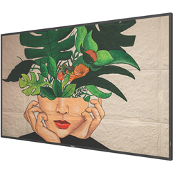 Philips 55 Signage Display Panel