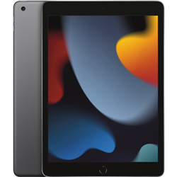 Apple iPad 10.2 (9th Gen) 256GB WiFi Space Grey