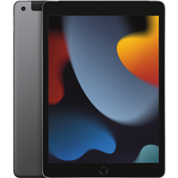 Apple iPad 10.2 (9th Gen) 256GB WiFi+Cell Space Grey