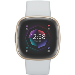 Fitbit Sense 2 Blue Mist/Pale Gold