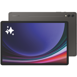 Samsung Galaxy Tab S9+ Wi-Fi 256GB - Graphite