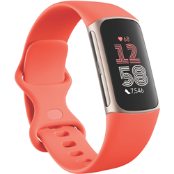 Fitbit Charge 6 - Coral/Champagne Gold Aluminium