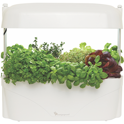 Vegepod Kitchen Garden White