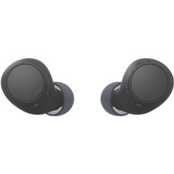 Sony Truly Wireless Earbuds