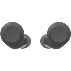 Sony Noise Cancelling Earbuds