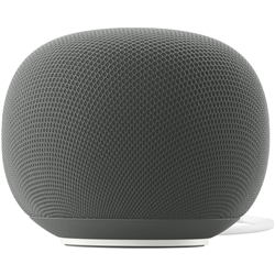 Google Home Speaker - Dark Hazel