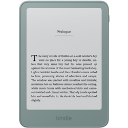 Kindle 6 32GB Aluminium - Seaglass